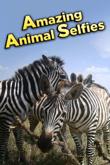Amazing Animal Selfies Trailer