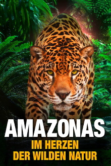 AMAZON 3D Trailer