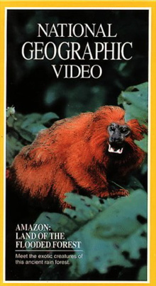 Amazon: Land of the Flooded Forest Trailer