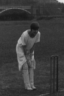Amazons at the Wicket Trailer