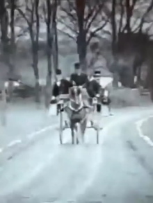 Ambush II at Eyrefield Lodge, Curragh Trailer