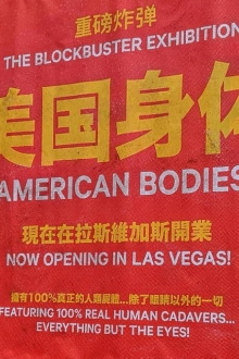 American Bodies Trailer