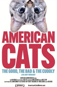 American Cats: The Good, the Bad, and the Cuddly Trailer