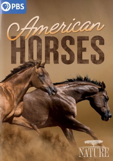 American Horses Trailer