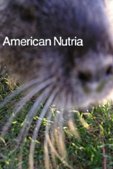 American Nutria Trailer