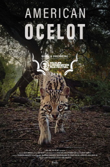 American Ocelot Trailer
