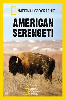 American Serengeti Trailer