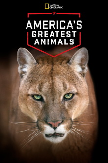 America's Greatest Animals Trailer