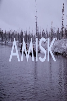 Amisk Trailer