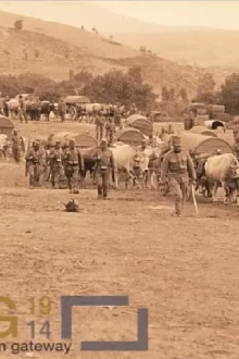 Ammunition Column of the Danube Division Trailer