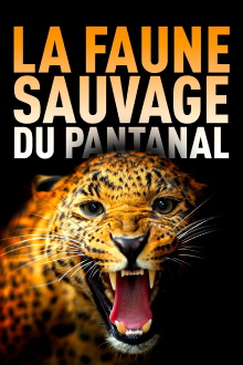 Among Big Cats and Anteaters - With Lydia Möcklinghoff in Brazil's wildlife Trailer
