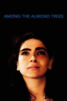 Among the Almond Trees Trailer