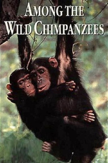 Among the Wild Chimpanzees Trailer