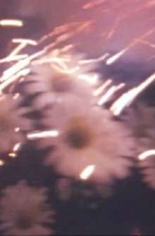 Amorphous diary Trailer