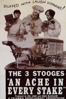 An Ache in Every Stake Trailer