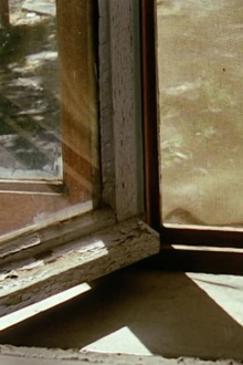 An Afternoon Trailer
