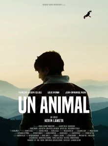 An Animal Trailer