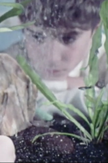 An Aquarium In Action Trailer