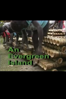 An Evergreen Island Trailer