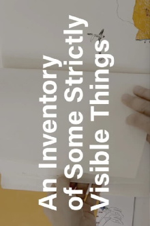 An Inventory of Some Strictly Visible Things Trailer
