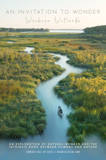 An Invitation to Wonder: Waubesa Wetlands Trailer