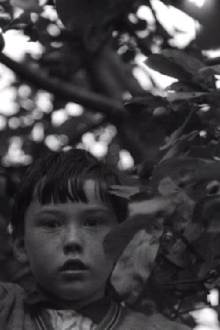 An Untitled Film Trailer