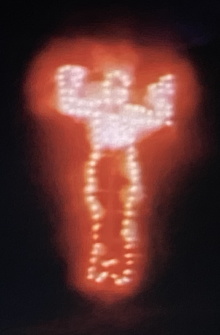 Ana Mendieta: Fuego de Tierra Trailer
