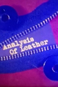 Analysis of Leather Trailer