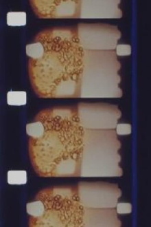 Analytical Studies II: Unframed Lines Trailer