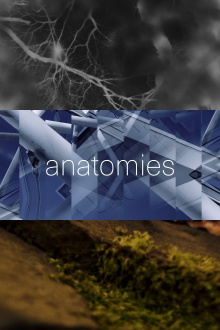 anatomies Trailer