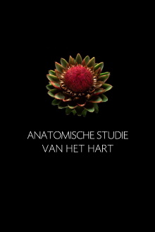 Anatomische Studie van het Hart Trailer