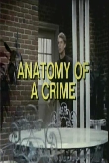 Anatomy of a Crime Trailer