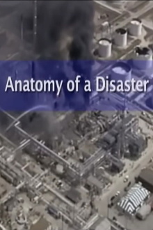 Anatomy of a Disaster: Explosion at BP Texas City Refinery Trailer