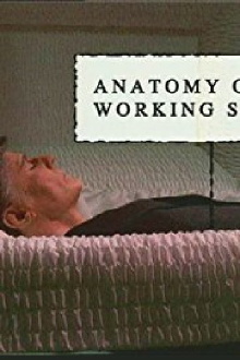 Anatomy of a Working Stiff Trailer