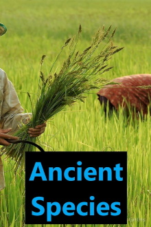 Ancient Species Trailer