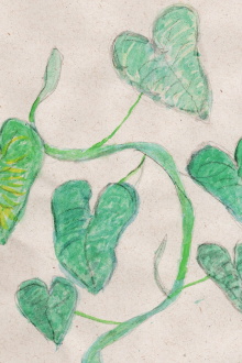 And my plants? Trailer