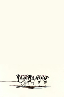 And The Cranes Kept Dancing Trailer