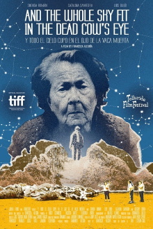 And the Whole Sky Fit in the Dead Cow's Eye Trailer