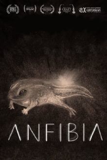 Anfibia Trailer