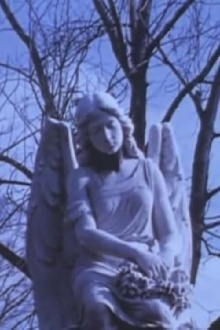 Angel Trailer
