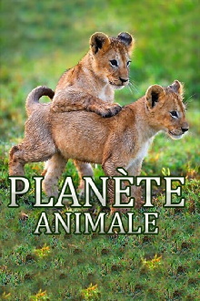 Animal Planet Trailer
