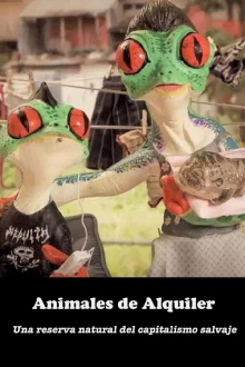 Animal Rental Trailer