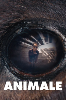 Animale Trailer