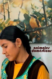 Animales Domésticos Trailer