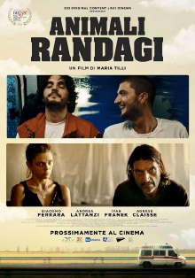 Animali randagi Trailer