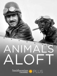 Animals Aloft Trailer
