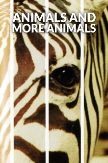 Animals and More Animals Trailer