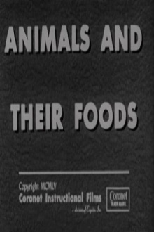 Animals and Their Foods Trailer