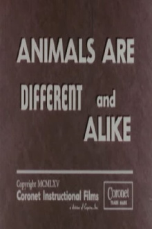 Animals Are Different and Alike Trailer