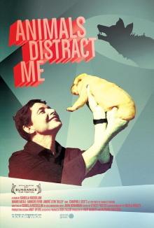 Animals Distract Me Trailer